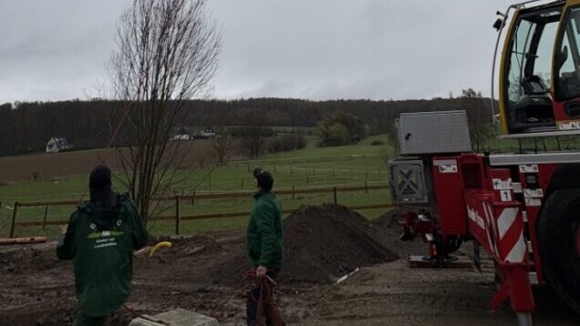 pflanzarbeit 3